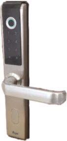 Lorem ipsum dolor sit amet, consectetur adipiscing elit. Phasellus quis elementum odio. Curabitur pellentesque, dolor vel pharetra mollis.