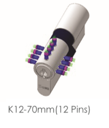 Lorem ipsum dolor sit amet, consectetur adipiscing elit. Phasellus quis elementum odio. Curabitur pellentesque, dolor vel pharetra mollis.