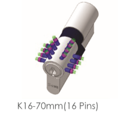 Lorem ipsum dolor sit amet, consectetur adipiscing elit. Phasellus quis elementum odio. Curabitur pellentesque, dolor vel pharetra mollis.