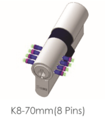 Lorem ipsum dolor sit amet, consectetur adipiscing elit. Phasellus quis elementum odio. Curabitur pellentesque, dolor vel pharetra mollis.