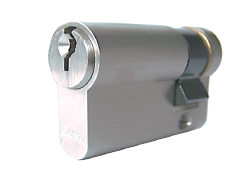 Lorem ipsum dolor sit amet, consectetur adipiscing elit. Phasellus quis elementum odio. Curabitur pellentesque, dolor vel pharetra mollis.